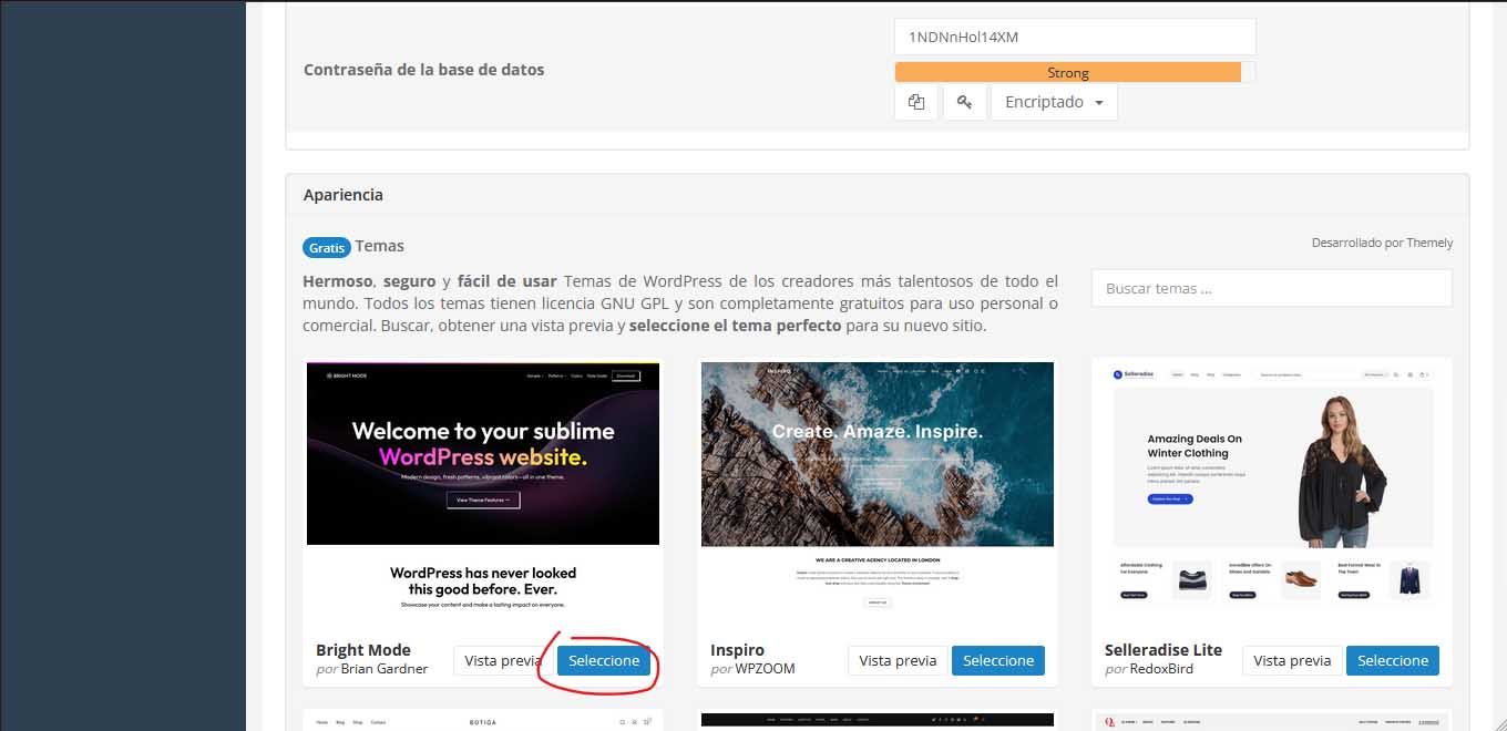 ¿Cómo Instalar WordPress en Control WebPanel (CWP)?